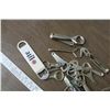 Image 4 : 22 Bottle Openers