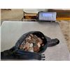 Image 1 : FANNY PACK FILLED W/ ALMOST 5 LB OF CANADIAN COINS