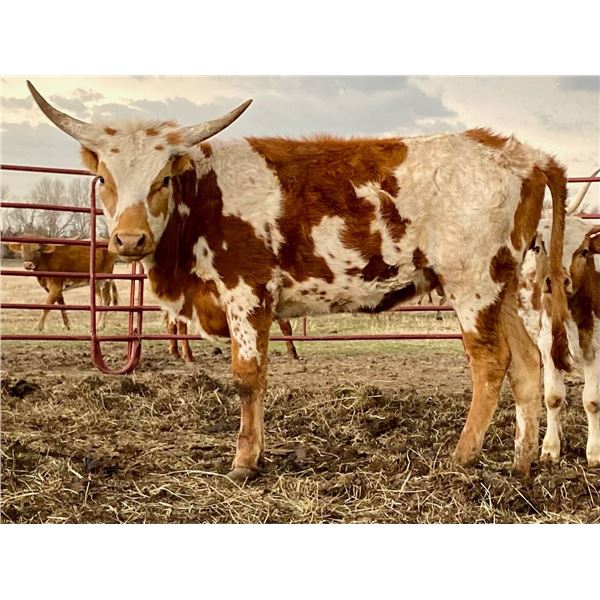 +F Match Made Laramie