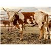 Image 1 : +F Match Made Laramie