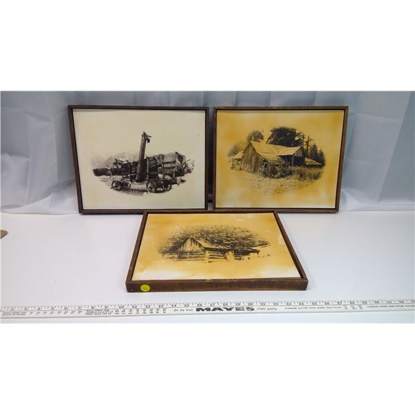 3 Vintage Framed Prints