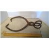 Image 3 : Ice Tongs