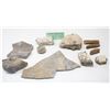 Image 1 : LOT OF FOSSILS FROM REYNOLDS MUSEUM