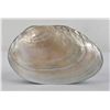 Image 5 : Sea Shell Trinket Box made in Bali