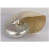Image 3 : 9" Polished Nautilus Sea Shell