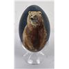 Image 1 : Grizzly Bear Painted Emu Egg