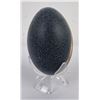 Image 2 : Grizzly Bear Painted Emu Egg