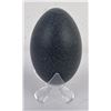 Image 3 : Grizzly Bear Painted Emu Egg