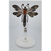 Image 2 : Sterling Silver Carnelian Dragonfly Brooch
