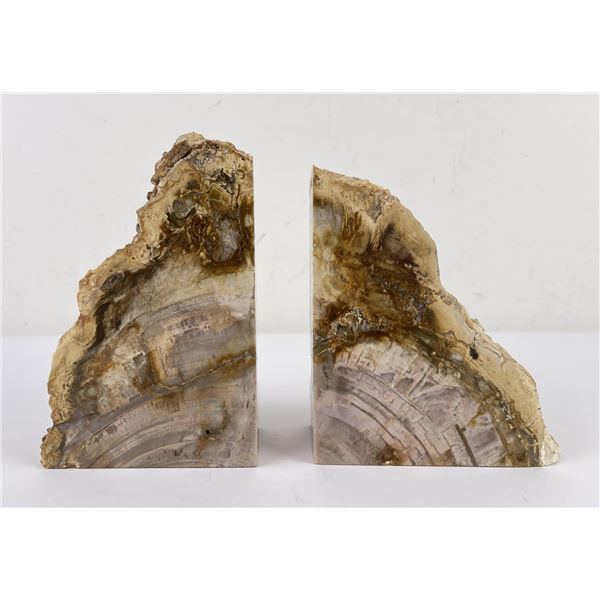 Petrified Wood Stone Bookends