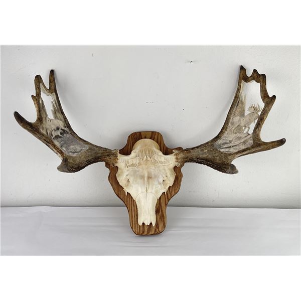Henry Larum Carved Moose Antlers Montana
