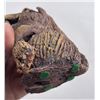 Image 8 : Jane Shull Montana Studio Pottery Beaver