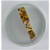 Image 5 : Civil War Bone Gambling Dice