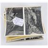 Image 8 : Yellowstone National Park Collectables