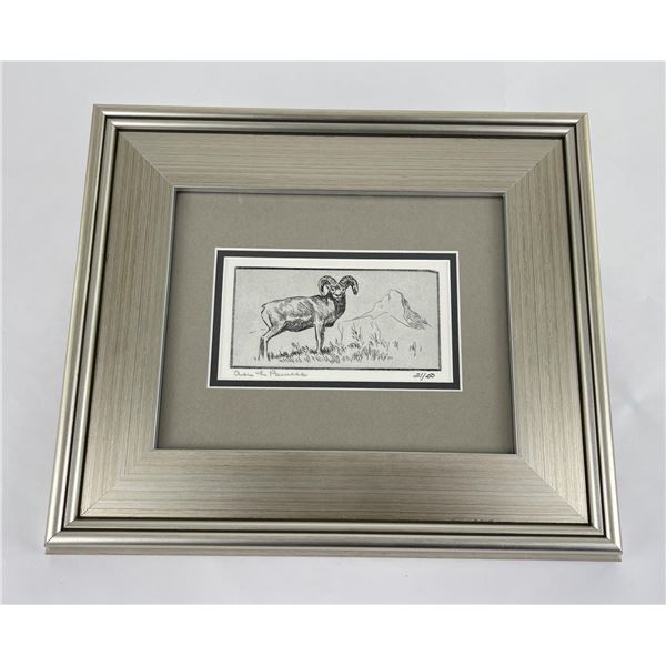 Ace Powell Etching Bighorn Sheep
