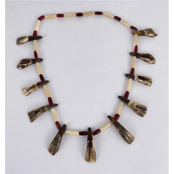 Plains Indian Buffalo Tooth Necklace