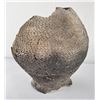Image 8 : Anasazi Corrugated Cooking Jar Pot