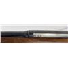 Image 13 : Winchester Model 100 .243 Rifle