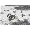 Image 4 : A.L. Ripley Duck Shooting Sporting or Hunt Etching