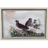 Image 1 : Chinese Watercolor of Two Quail
