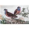 Image 3 : Chinese Watercolor of Two Quail