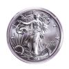 Image 1 : 2017-W $1 Burnished American Silver Eagle Coin