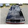 Image 10 : 0L --  1984 OLDSMOBILE  HURST OLDS , Black, 19640 5 DIGIT ODO TMU KM's