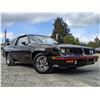 Image 13 : 0L --  1984 OLDSMOBILE  HURST OLDS , Black, 19640 5 DIGIT ODO TMU KM's