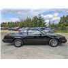 Image 17 : 0L --  1984 OLDSMOBILE  HURST OLDS , Black, 19640 5 DIGIT ODO TMU KM's