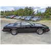 Image 19 : 0L --  1984 OLDSMOBILE  HURST OLDS , Black, 19640 5 DIGIT ODO TMU KM's