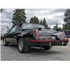 Image 34 : 0L --  1984 OLDSMOBILE  HURST OLDS , Black, 19640 5 DIGIT ODO TMU KM's