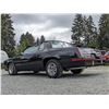 Image 36 : 0L --  1984 OLDSMOBILE  HURST OLDS , Black, 19640 5 DIGIT ODO TMU KM's