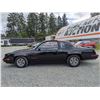 Image 39 : 0L --  1984 OLDSMOBILE  HURST OLDS , Black, 19640 5 DIGIT ODO TMU KM's