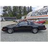 Image 40 : 0L --  1984 OLDSMOBILE  HURST OLDS , Black, 19640 5 DIGIT ODO TMU KM's