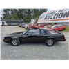 Image 41 : 0L --  1984 OLDSMOBILE  HURST OLDS , Black, 19640 5 DIGIT ODO TMU KM's