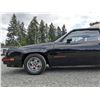 Image 50 : 0L --  1984 OLDSMOBILE  HURST OLDS , Black, 19640 5 DIGIT ODO TMU KM's