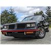Image 5 : 0L --  1984 OLDSMOBILE  HURST OLDS , Black, 19640 5 DIGIT ODO TMU KM's