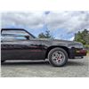 Image 61 : 0L --  1984 OLDSMOBILE  HURST OLDS , Black, 19640 5 DIGIT ODO TMU KM's