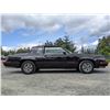 Image 62 : 0L --  1984 OLDSMOBILE  HURST OLDS , Black, 19640 5 DIGIT ODO TMU KM's