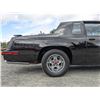 Image 64 : 0L --  1984 OLDSMOBILE  HURST OLDS , Black, 19640 5 DIGIT ODO TMU KM's