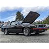 Image 87 : 0L --  1984 OLDSMOBILE  HURST OLDS , Black, 19640 5 DIGIT ODO TMU KM's