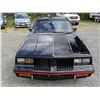 Image 9 : 0L --  1984 OLDSMOBILE  HURST OLDS , Black, 19640 5 DIGIT ODO TMU KM's