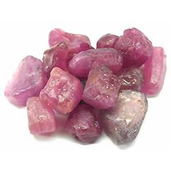 228ct. 16Pcs Fabulous Red Pink Sapphire Rough (GEM-2403)