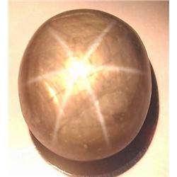 14.25ct. 6 Ray Smoky Natural Star Sapphire Oval RETAIL $1250 (GEM-2555)