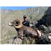 Image 8 : Desert Sheep Hunt - Mexico