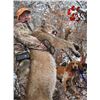 Image 1 : 5-Day Utah or Arizona Mountain Lion Hunt