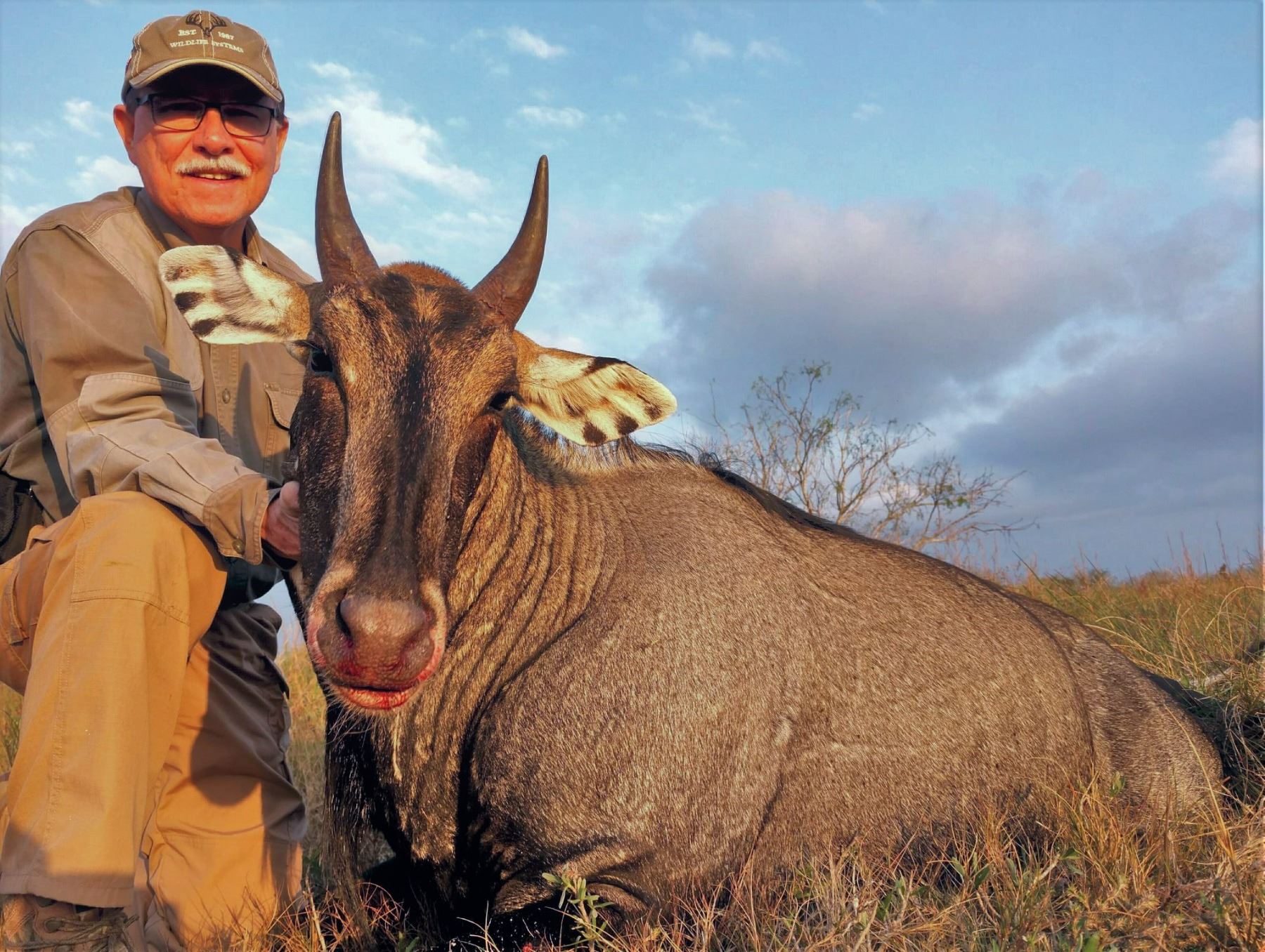 Texas Nilgai Antelope Hunt for Two on the Historic King Ranch