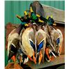 Image 2 : Ultimate Arkansas Duck Hunt Package