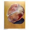 Image 1 : Jill O'Connell, Nautica, Shell Lithograph