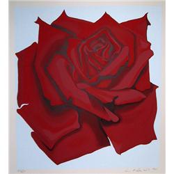 Lowell Blair Nesbitt, Red Rose, Serigraph